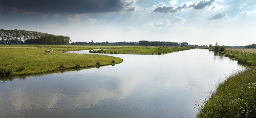 Waterberging met weilanden Rivierenland